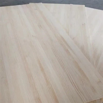 Pinna radiata da 15 mm