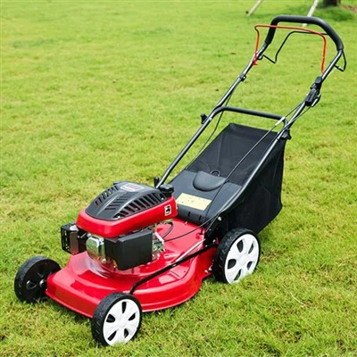 Rasaerba a spinta semovente